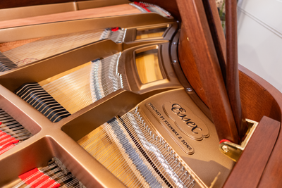 Essex EGP155 Baby Grand Player Piano