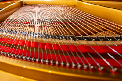 Estonia 168 Baby Grand Piano