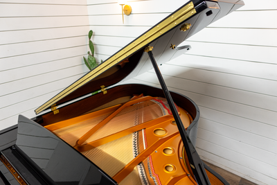 Pearl River GP170 Baby Grand Piano