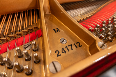 Steinway & Sons M Baby Grand Piano Player