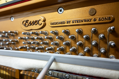 Essex EUP 116 Upright Piano