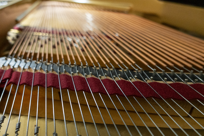 Schafer & Sons SS-58 Parlor Grand Piano