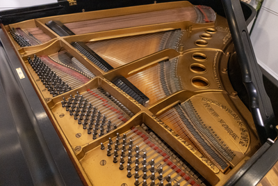 Steinway & Sons M Parlor Grand Piano