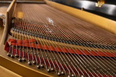 Steinway & Sons M Parlor Grand Piano