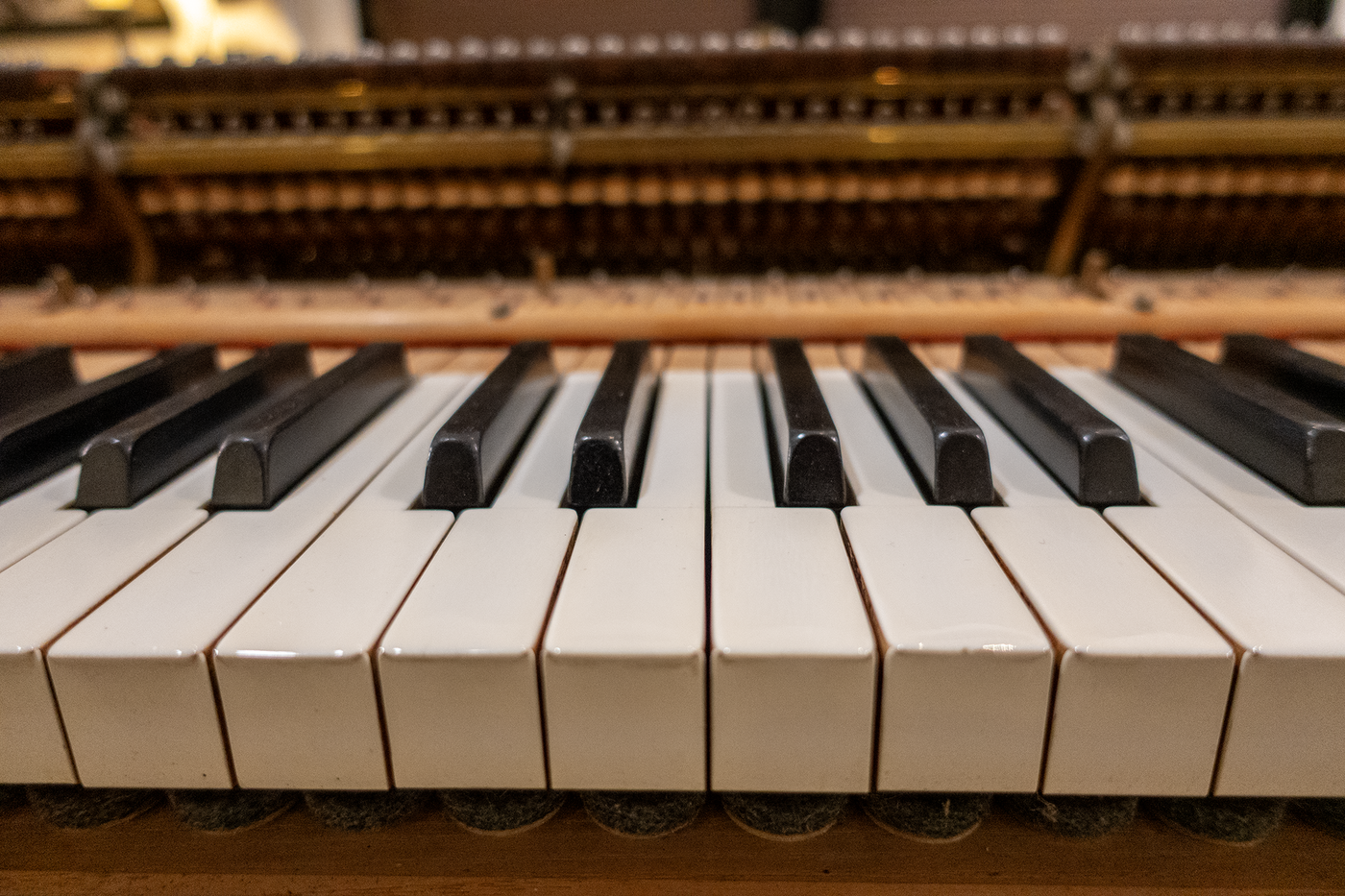 Steinway & Sons M Parlor Grand Piano