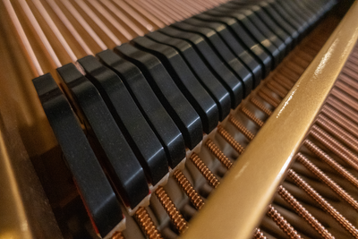 Steinway & Sons M Parlor Grand Piano