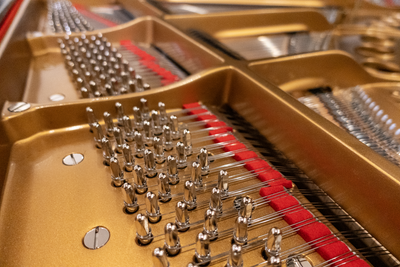 Steinway & Sons M Parlor Grand Piano