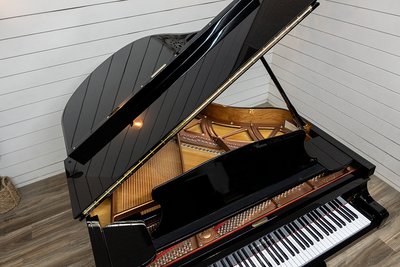 Young Chang Pramberger PG-185 Grand Piano