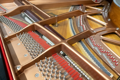 Young Chang Pramberger PG-185 Grand Piano