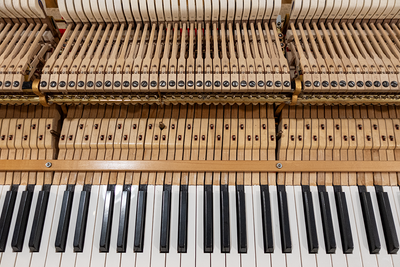 Steinway & Sons L Parlor Grand Piano