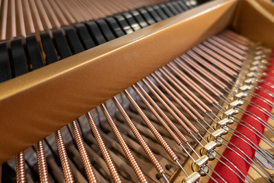 Steinway & Sons L Parlor Grand Piano