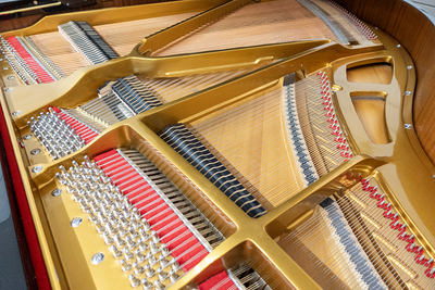 Suzuki F-410 Petite Baby Grand Piano