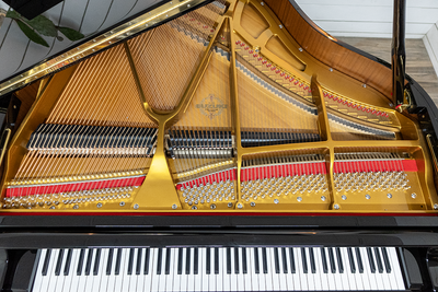 Suzuki F-410 Petite Baby Grand Piano