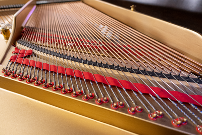 Steinway & Sons O Parlor Grand Piano