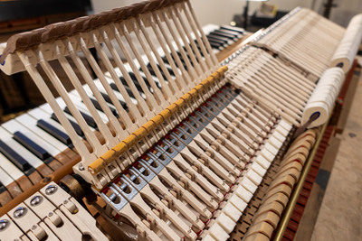 Steinway & Sons L Parlor Grand Piano