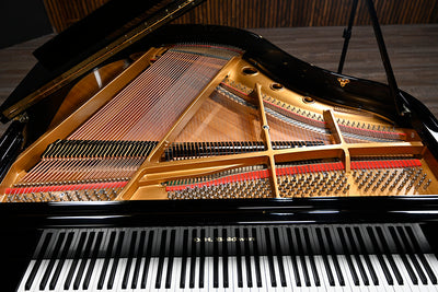D.H. Baldwin C142 Petite Baby Grand Piano