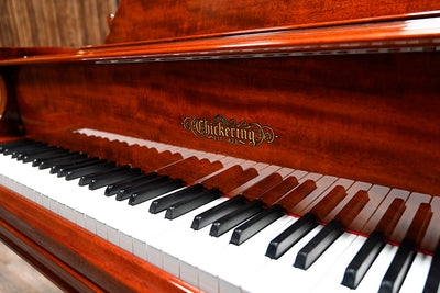 Chickering Parlor Grand Piano