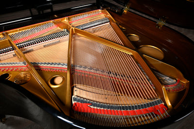 Pearl River GP142 Petite Baby Grand Piano