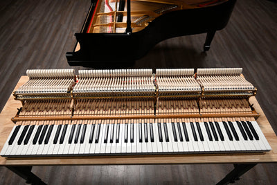 Steinway & Sons A3 Parlor Grand Piano