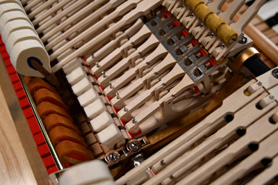 Steinway & Sons A3 Parlor Grand Piano