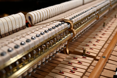 Steinway & Sons A3 Parlor Grand Piano