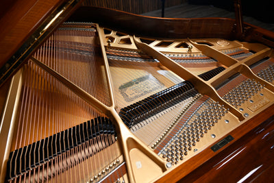 Kawai KG-2D Parlor Grand Piano