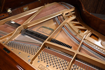 Kawai KG-2D Parlor Grand Piano