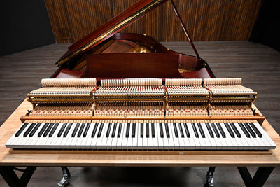 Steinway & Sons M Parlor Grand Piano