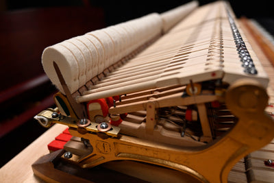 Steinway & Sons M Parlor Grand Piano