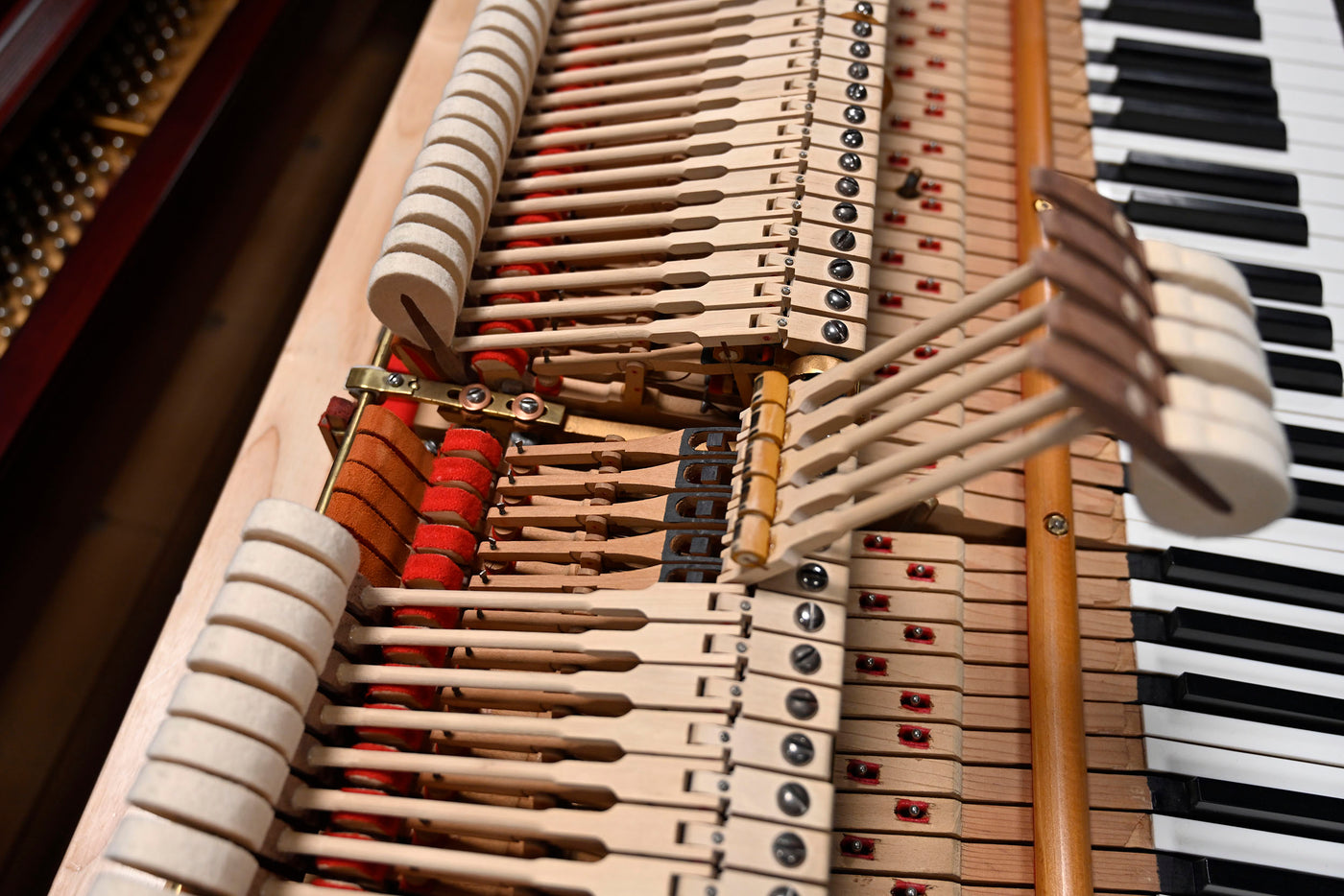 Steinway & Sons M Parlor Grand Piano