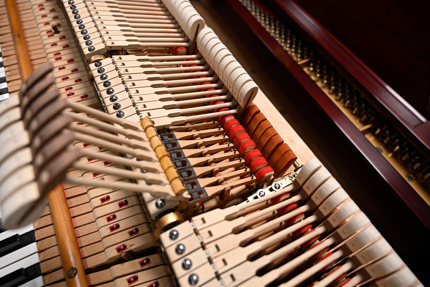 Steinway & Sons M Parlor Grand Piano