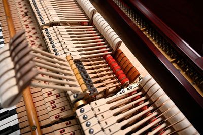 Steinway & Sons M Parlor Grand Piano