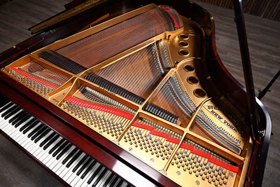 Steinway & Sons M Parlor Grand Piano