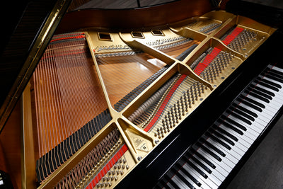 Boston GP156 Baby Grand Piano
