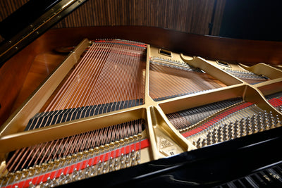 Boston GP156 Baby Grand Piano