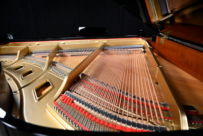 Boston GP156 Baby Grand Piano