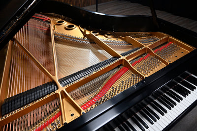 Steinway & Sons A3 Parlor Grand Piano