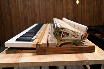 Steinway & Sons A3 Parlor Grand Piano