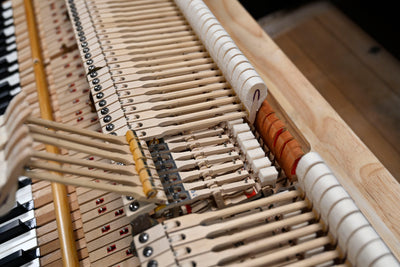 Steinway & Sons A3 Parlor Grand Piano