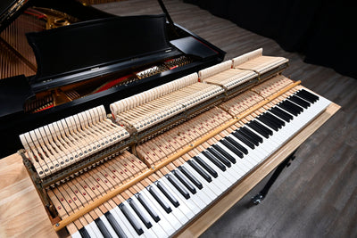 Steinway & Sons A3 Parlor Grand Piano