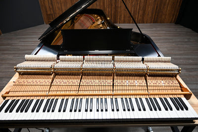 Steinway & Sons D Concert Grand Piano
