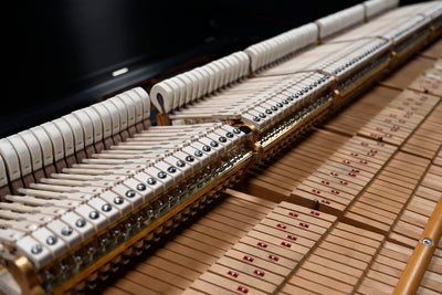 Steinway & Sons D Concert Grand Piano