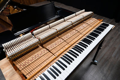 Steinway & Sons D Concert Grand Piano