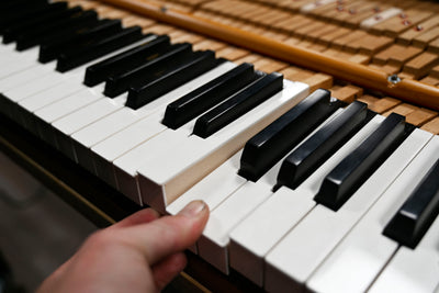 Steinway & Sons D Concert Grand Piano