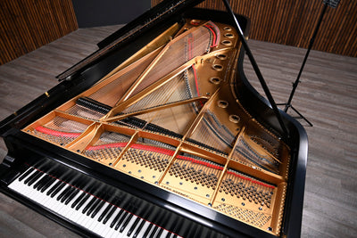 Steinway & Sons D Concert Grand Piano