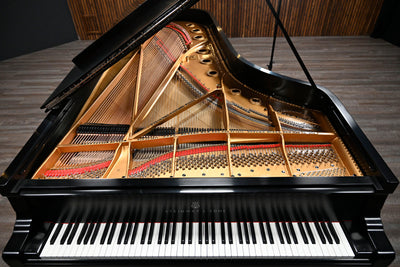 Steinway & Sons D Concert Grand Piano