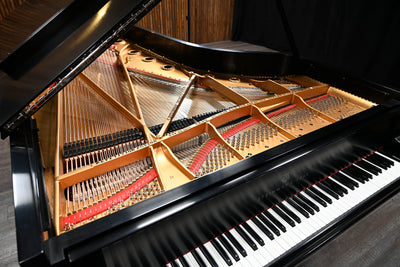 Steinway & Sons D Concert Grand Piano