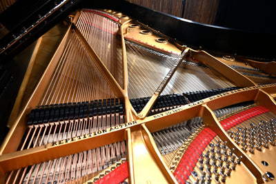 Steinway & Sons D Concert Grand Piano