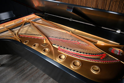 Steinway & Sons D Concert Grand Piano