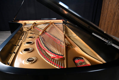 Steinway & Sons D Concert Grand Piano